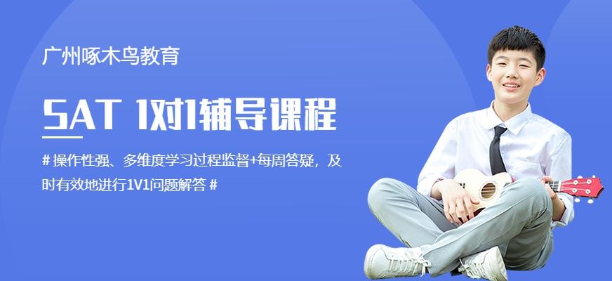 广州sat一对一培训机构