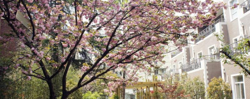 美国巴斯图高中地址在哪里