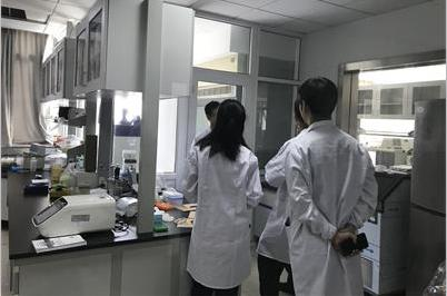 思楷学术