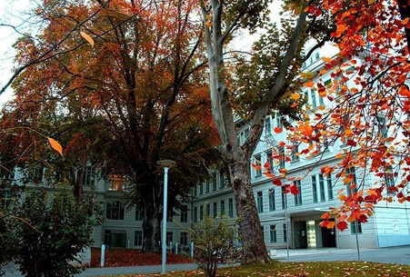 维也纳医科大学