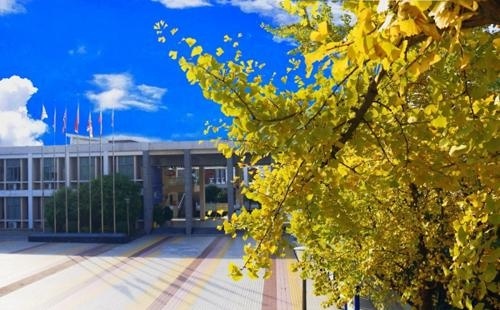 重庆双语学校国际部