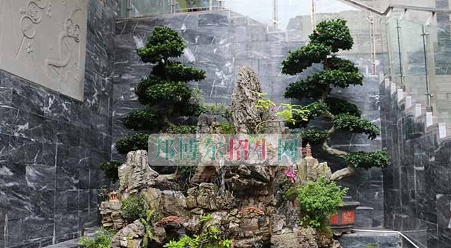 重庆医药经贸卫生学校