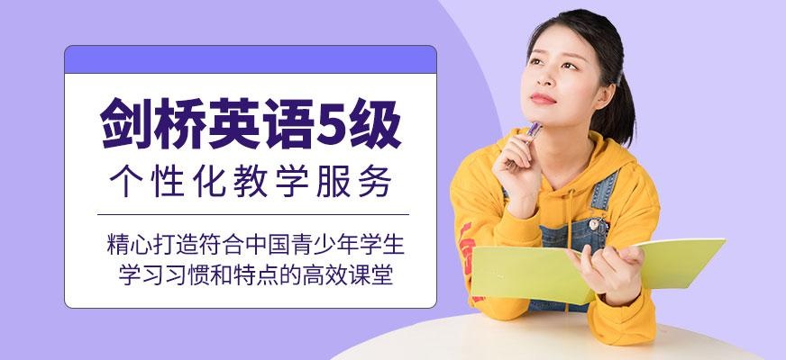 剑桥英语5级