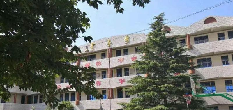 华阴市华山中学网站
