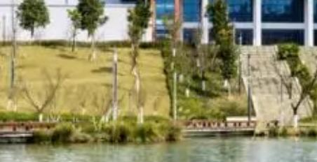 重庆财经职业学院2022高职分类考试分数线