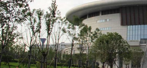 合肥幼儿师范高等专科学校2020年有哪些专业