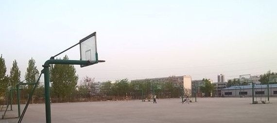 河南质量工程职业学院2019年单招录取分数线