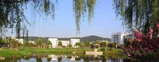 苏州工业职业技术学院单招2020年单独招生录取分数线