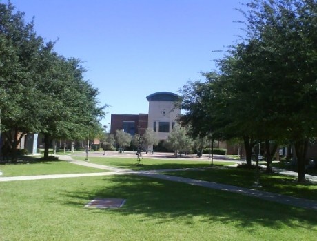 南德克萨斯学院