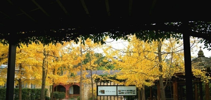 四川国际标榜职业学院五年制大专招生办