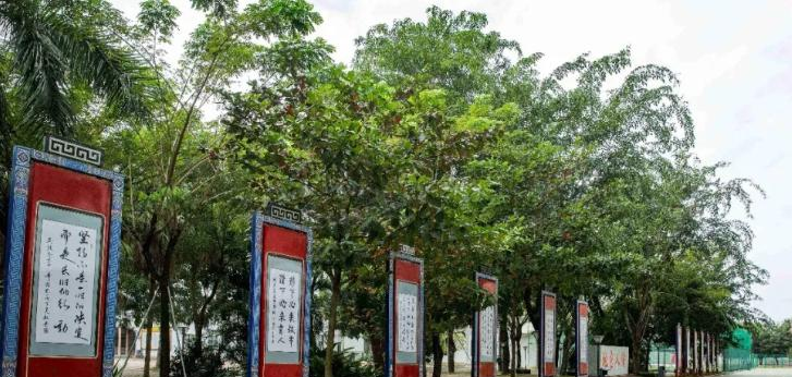 万宁中学2023年报名条件、招生要求、招生对象 