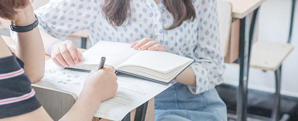 专业志愿选择