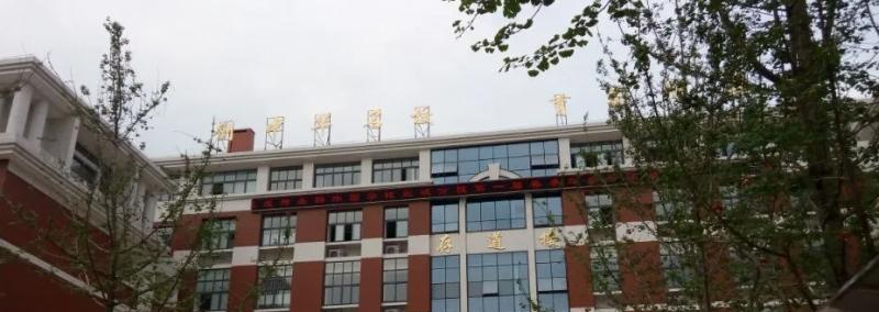 成都七中嘉祥外国语学校国际高中2022年录取分数线