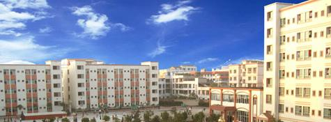 截图_20211116125516