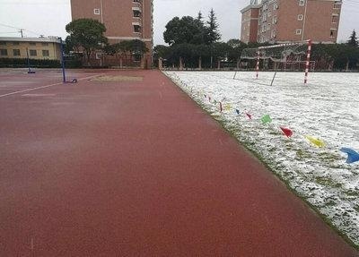 上海下雪了：这是领科国际高中"别人家"的后勤老师