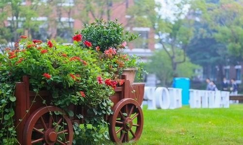 上海新纪元双语学校校园环境