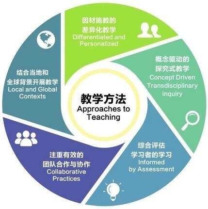 上海常青藤教学方法.jpg
