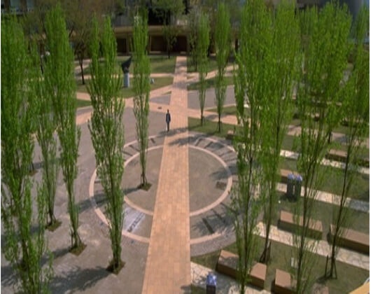东京外国语大学