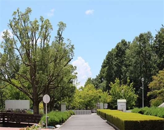 千里金兰大学