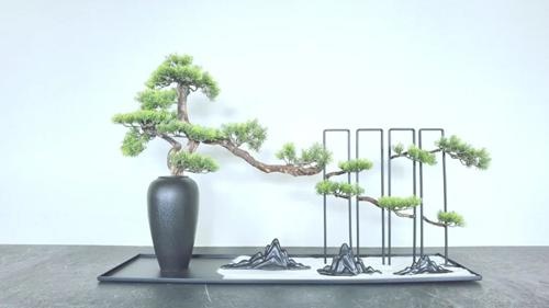 Louis镜头下的世界