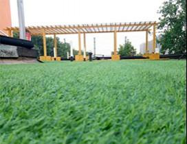 郑州优状元教育