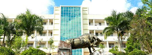 广西职业技术学院2020年有哪些专业