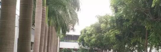 汕头澄海职业技术学校2021年招生办