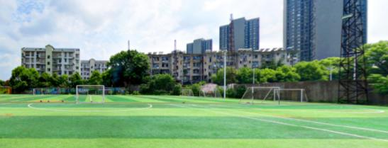 湖南体育运动学校