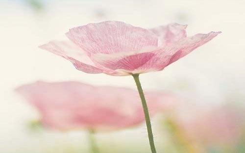 如何面对自己的失败