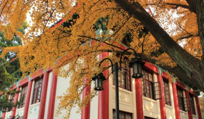 南京师范大学是211还是985(南京师范大学)