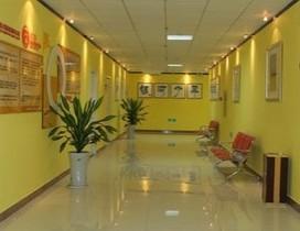 武汉子云说教育