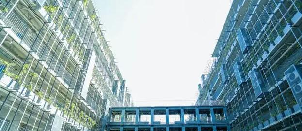 深圳国际交流学院2023年录取分数线