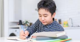 外教老师的教学质量和师资教学水平怎样？