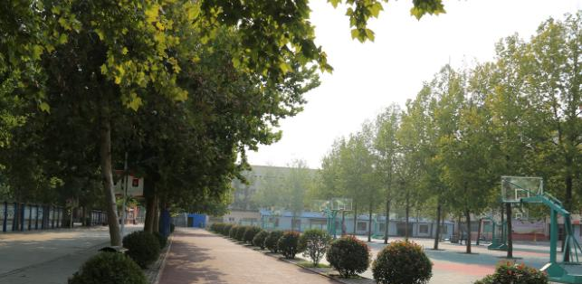 延津职业中等专业学校网站