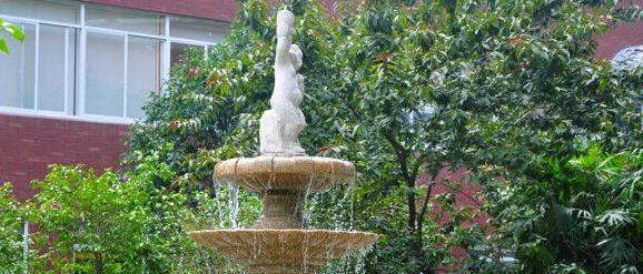 成都西雅美途外国语联合学校