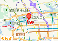 总部