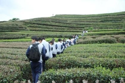 湖州帕丁顿初中交大少年班、世和班茶文化研学.jpg