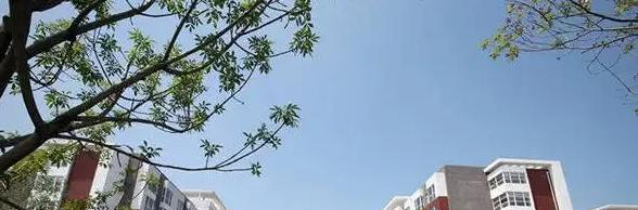 北京剑桥中学国际部2023年入学考试