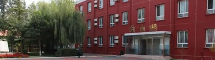 北京中关村外国语学校小学部2023年入学考试