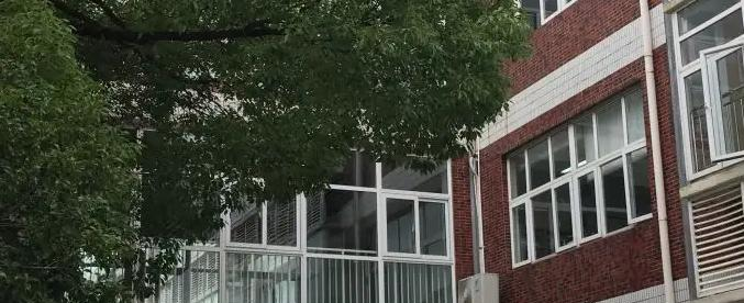 上海民办中芯学校2023年录取分数线2