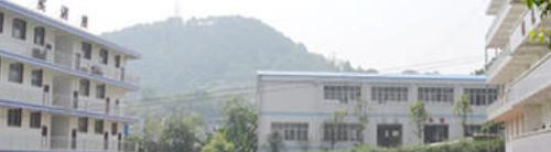 枣庄市劳动技工学校