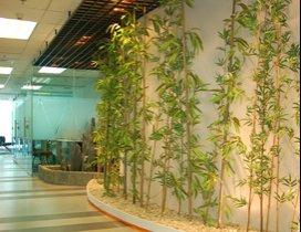 无锡樱花国际日语