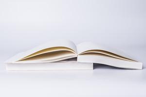 中国社科院在职课程班怎么样