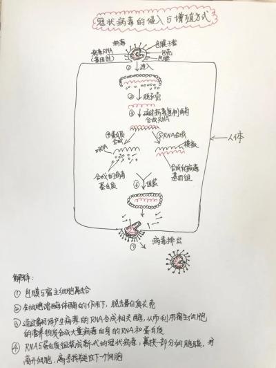 湖州帕丁顿PBL探究活动4.jpg