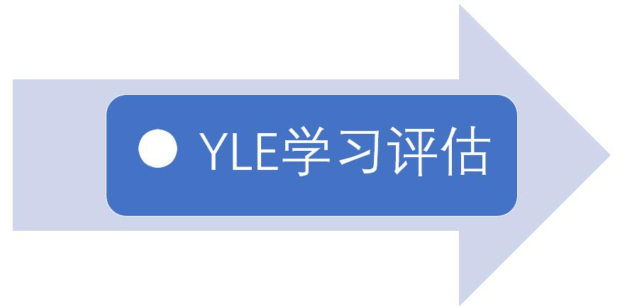 LCAI 国际课程(图12)