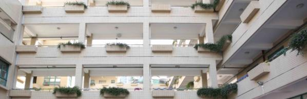 深圳国际交流学院2023年招生计划