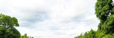 历年浙江农林大学2022全国排名榜(软科+校友会）-2023参考