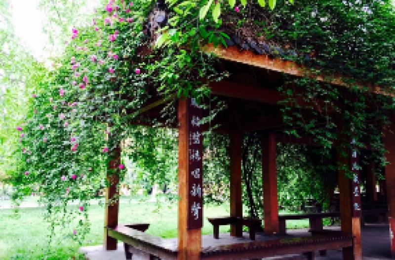 成都冠城实验学校IEC国际教育中心