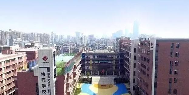 佛山协同国际学校小学部怎么样2