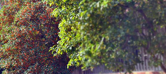 赣州育才职业中等专业学校